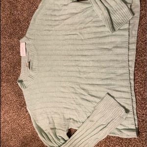 Seafoam American eagle sweater